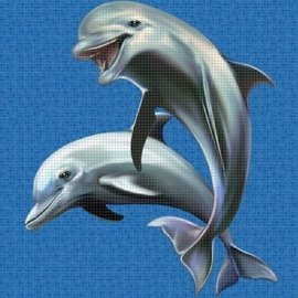 панно Панно Happy Dolphins