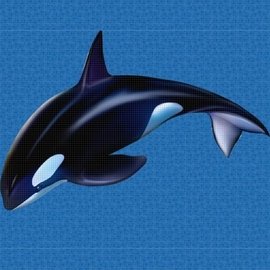 панно Панно Orca