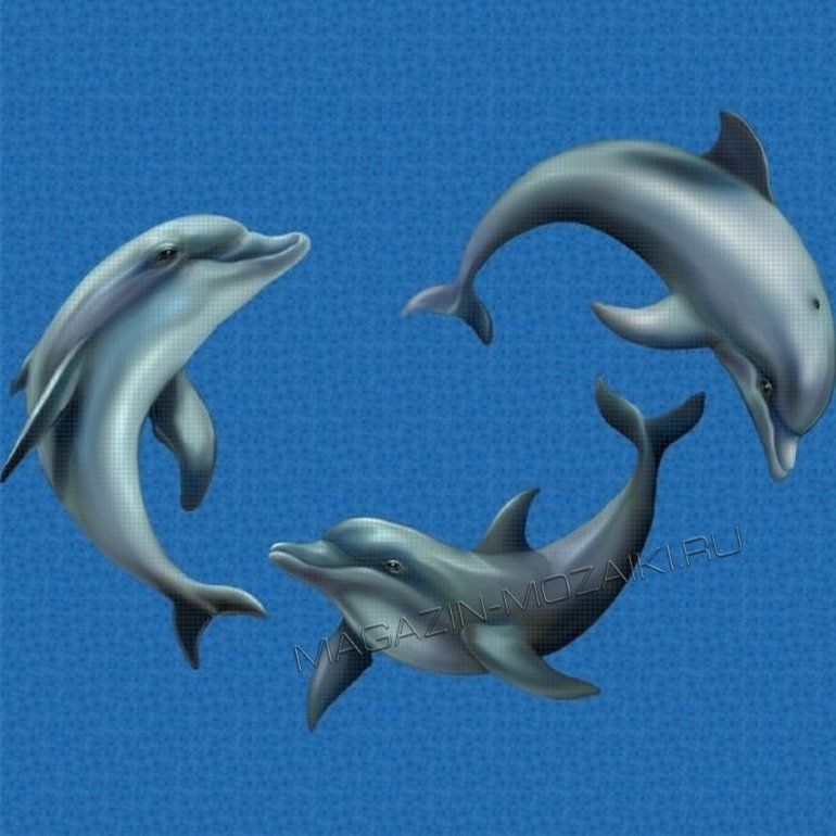 панно Панно Playing Dolphins
